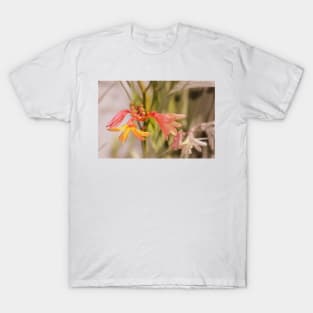 flowers by the Methodist church in Rainier 4 T-Shirt